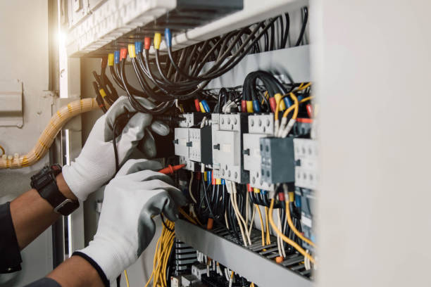 Best Ceiling Fan Installation Electrician  in Flemington, GA